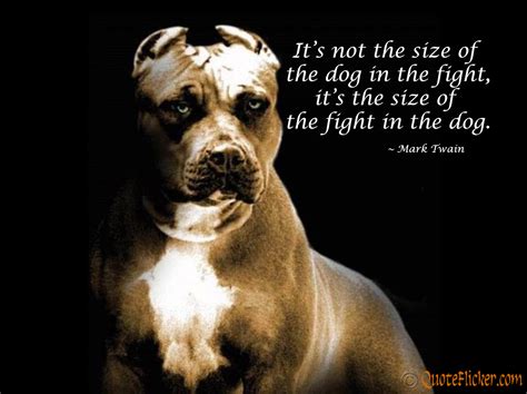 We've compiled our favorites from marilyn monroe, winston churchill, kurt vonnegut, and more. Dog Fighting Quotes. QuotesGram