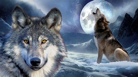 Wolf Howling At The Moon Wallpapers Wallpaper Cave