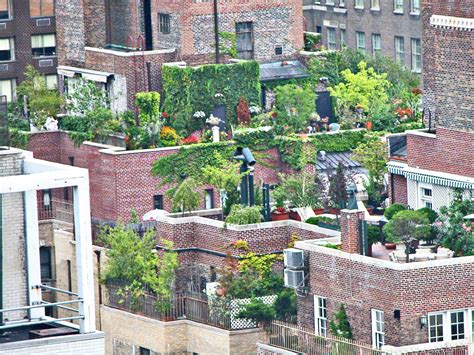 The rooftop garden project is in montreal. What to Consider Before Planting a Rooftop Garden