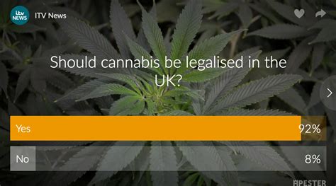 Itv News Cannabis Poll Shows Overwhelming Majority Want Cannabis Legalised In The Uk Ismoke