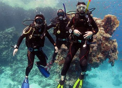 Diving In Safaga Scuba Dive Center Dive Course And Daily Trips