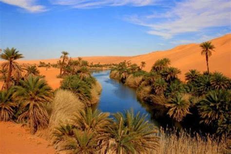 Une Magnifique Oasis A été Découverte En Plein Cœur Du Sahara Desert