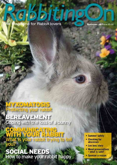 rabbiting on 1 copy of a back issue spring 2015 winter 2019 rabbit welfare shop