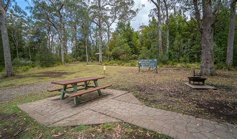Devils Hole Lookout Walk And Picnic Area Nsw National Parks