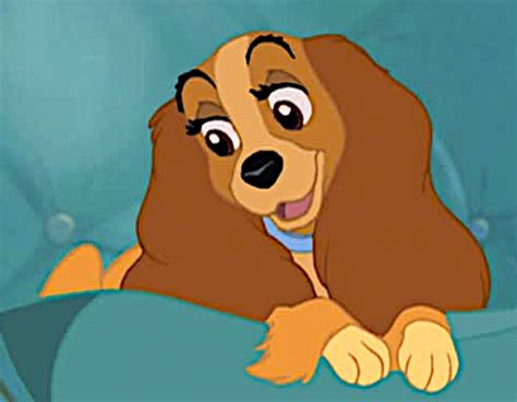Lady Disneys Lady And The Tramp Photo 40963364 Fanpop