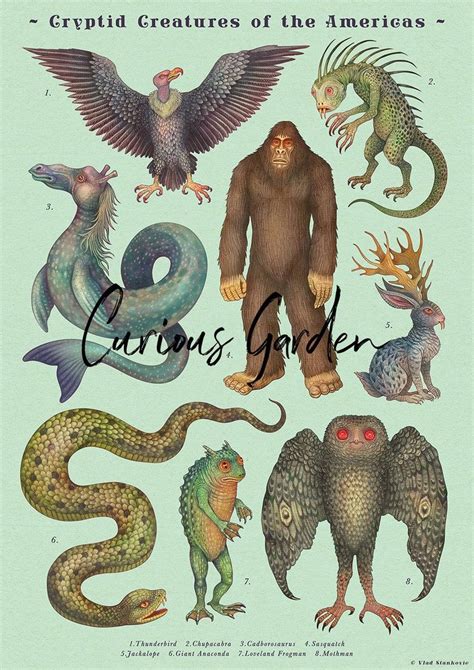 Weird Creatures Fantasy Creatures Mythical Creatures Cryptozoology