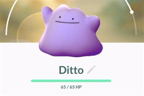 Pokemon go ditto spawn locations. Pokemon Go Jak Znaleźć Ditto appfam.net - hearmyheartbeat-s