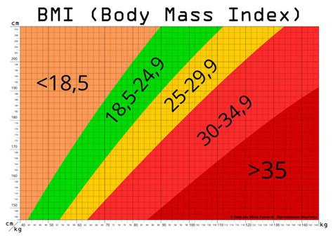 Calcolo Del Bmi Body Mass Index O Indice Di Massa Corporea