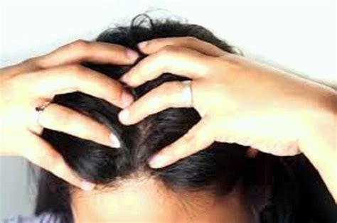 massagem capilar estimula crescimento dos cabelos e alivia estresse cura pela natureza