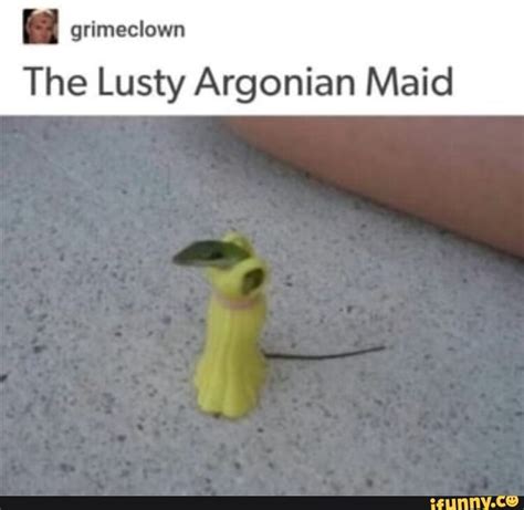 Grimeclown The Lusty Argonian Maid Ifunny Skyrim Memes Popular