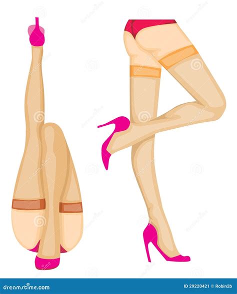 Women Legs Stock Vector Illustration Of Element Glamour 29220421