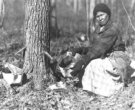 Mrs John Mink Collecting Sap To Make Maple Syrup Ojibwa 1925 Native American Images