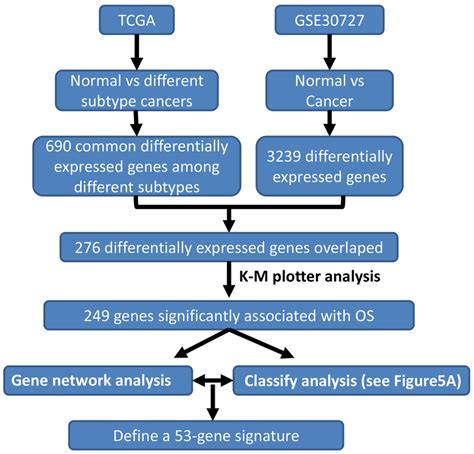 Schematic Diagram For A Multi Step Strategy To Identify Gene Signature