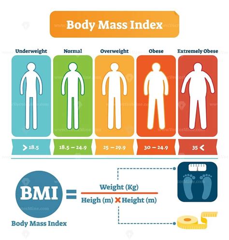 Body Mass Index Table With BMI Formula Example VectorMine