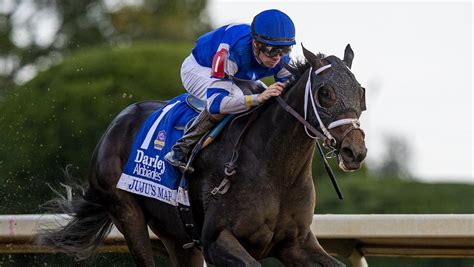 Getting To Know Breeders Cup Juvenile Fillies Contender Jujus Map