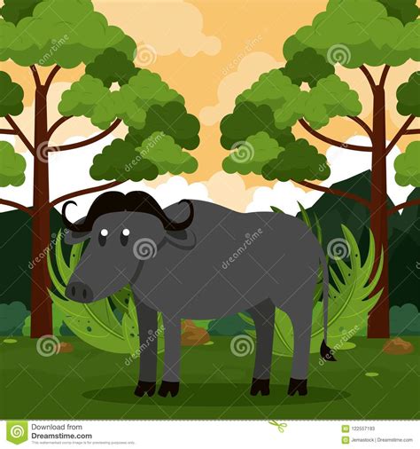 Buffalo safari animal stock vector. Illustration of safari - 122557193