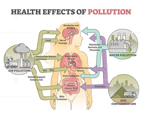 Vocs Health Effects And Air Toxic Pollution Hazard To Organs Outline