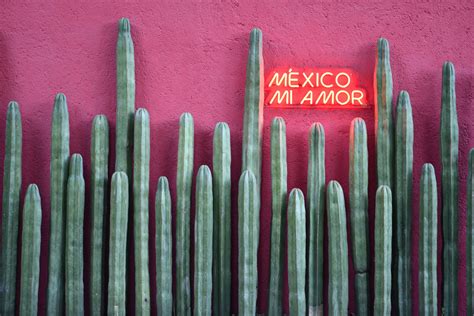 Mexico City Guide 5 Things To Do In Polanco Cdmx Traveler