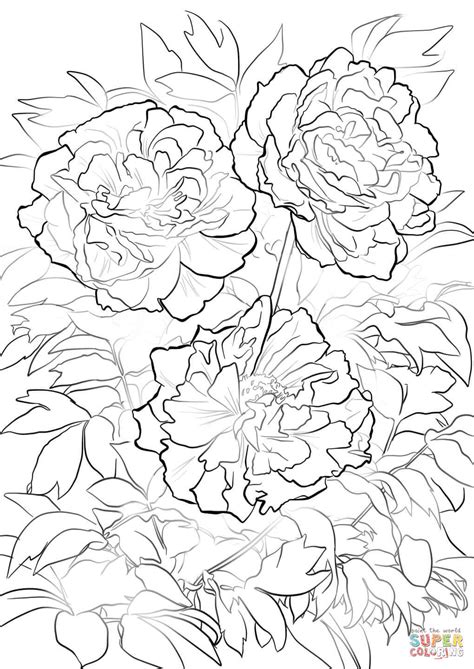 Native to southeast asia, magnolia trees are healthy and hardy all over the world. Moutan or Tree Peony coloring page | Free Printable ...