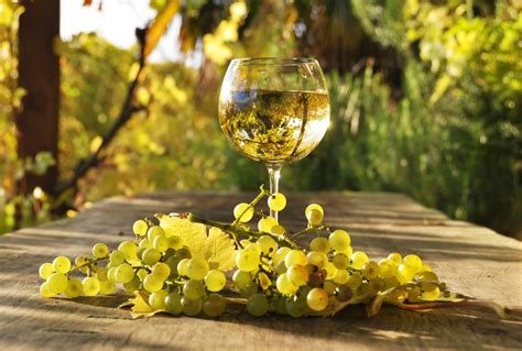 Three White Wines To Enjoy In The Fall Joie De Vivre