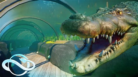 Saltwater Crocodile Habitat With Underwater Tunnel 🌊 Planet Zoo Speed