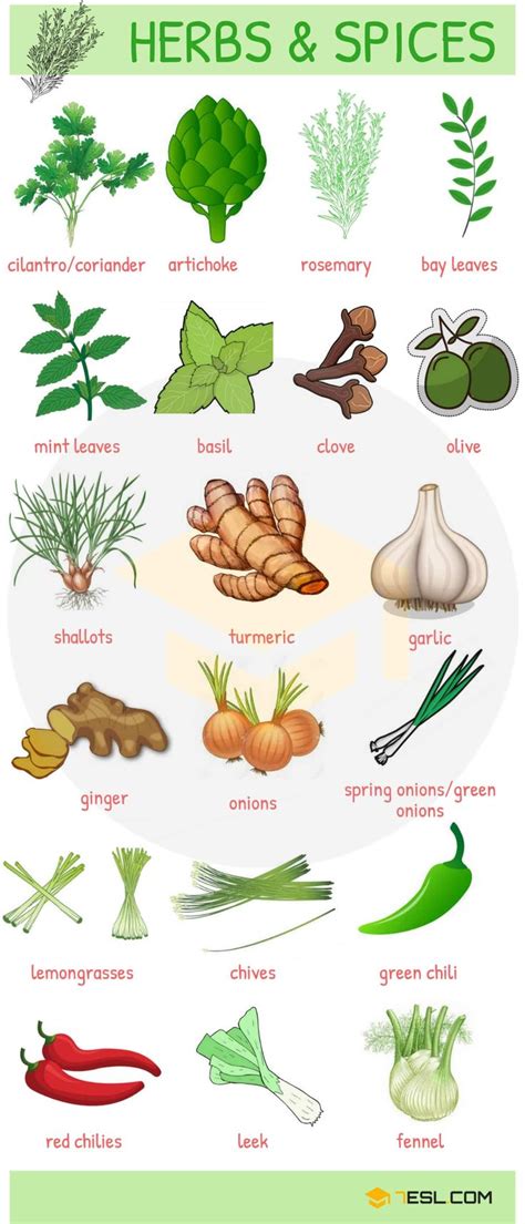 List Of Herbs And Spices Names Of Spices And Herbs In English Esl