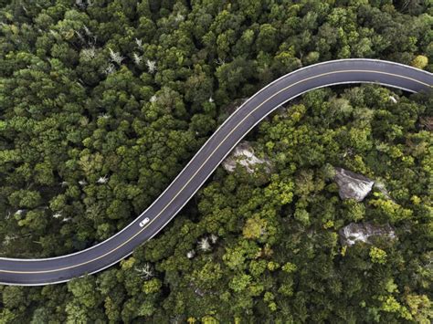 Aerial View Of A Road Winding Through A Forest Databank