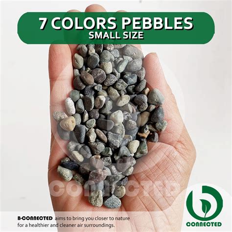 Pebbles 7 Colors Small 1 Kilo Home Garden Decor Soil Toppings