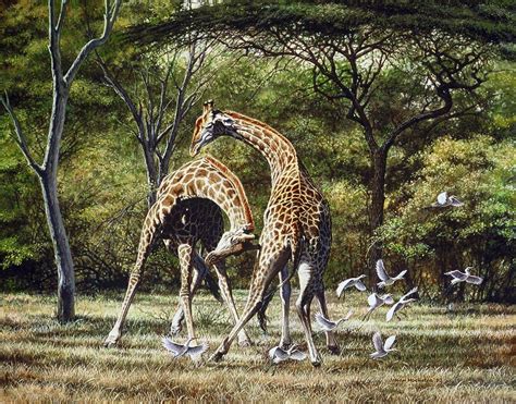 Johan Hoekstra Wildlife Artist African Wildlife Wildlife Art
