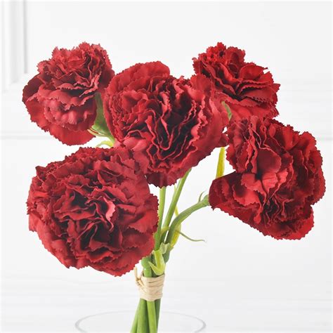 Carnation Flower Seeds For Plantation Packaging Type Packet At Best
