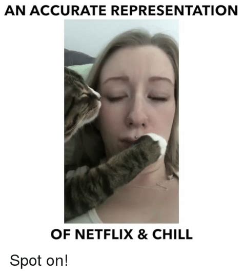 An Accurate Representation Of Netflix And Chill Spot On Chill Meme On