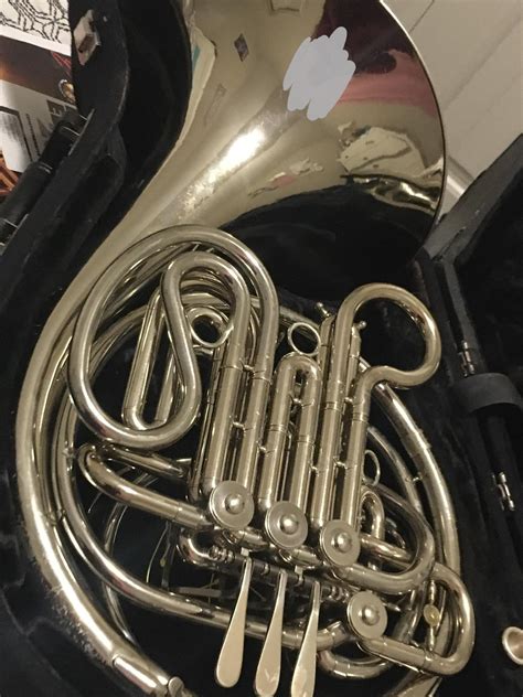 My First French Horn Rhorn