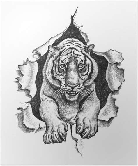 Resultado De Imagen Para Dibujos De Tigres De Bengala Acostadopara