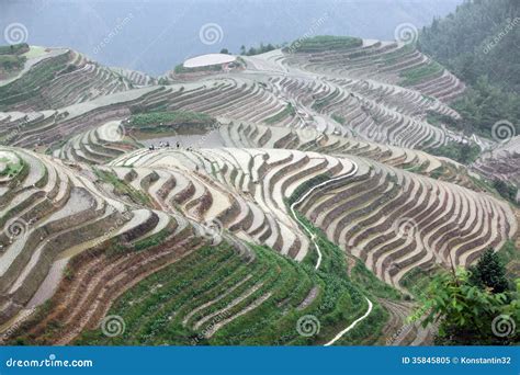 Longji Rice Terraces Guangxi Province China Stock Image Image Of
