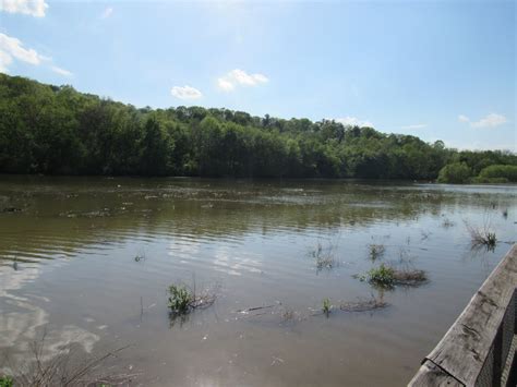 3c William H County Park Lake Redman Boardwalk York Audubon Society