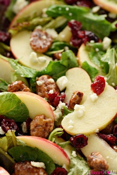 This honeycrisp apple salad recipe is vegetarian tasty delight and is packed with flavor. Holiday Honeycrisp Salad | Delicious salads, Food, Healthy ...