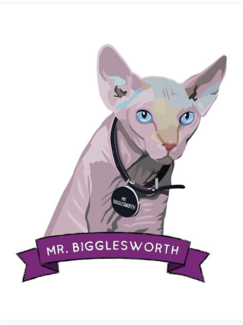 Mr Bigglesworth Poster For Sale By Chris Ayers Redbubble