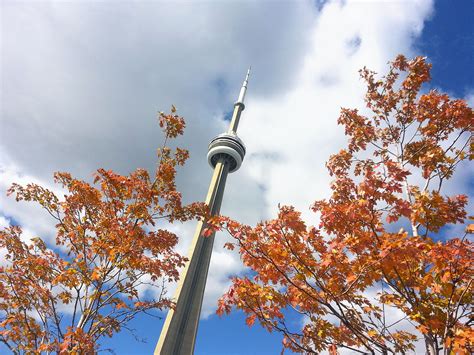 Beautiful Fall Colours In Toronto Cntower Discoveron Les Couleurs