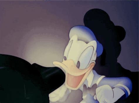 watching donald duck find and share on giphy