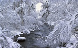 Sweden Snow Wallpapers - Top Free Sweden Snow Backgrounds - WallpaperAccess