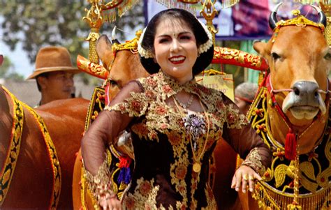 Phone number if you want to receive by sms offers and private sales madura. Serba Serbi Hindu - Jawa: Karapan Sapi, Madura