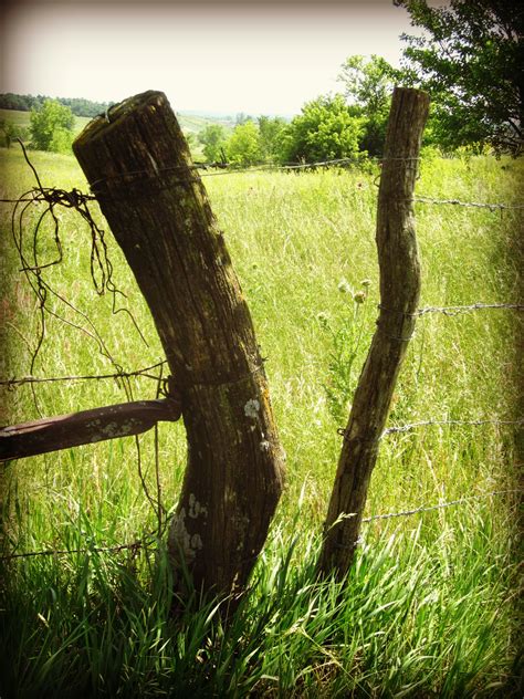 Fence Posts Old Fences Country Fences Rustic Fence