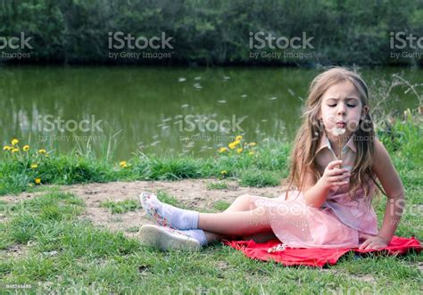 Potret Gadis Kecil Yang Cantik Dengan Bunga Di Alam Foto Stok Unduh Gambar Sekarang Istock