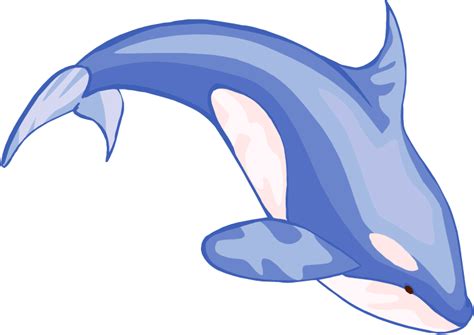 Whale Clipart And Illustration 2 Whale Clip Art Vector Image 5 4 2