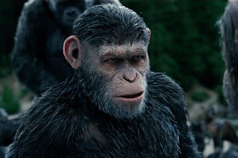 6 pics of caesar from ‘planet of the apes with a caesar