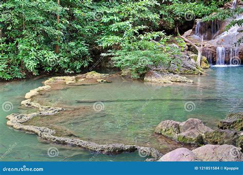 Natural Ponds In The Forest Stock Photo Image Of Lake Pond 121851584