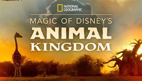 Magic Of Disneys Animal Kingdom Review 2020 Tv Show Series Season Cast