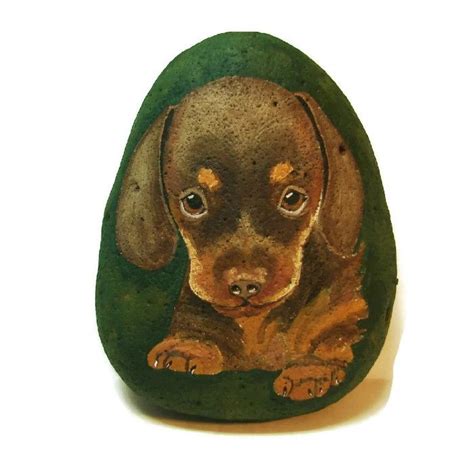 Dachshund Puppy Hand Painted Rock Painted Rocks Hand Painted Rocks