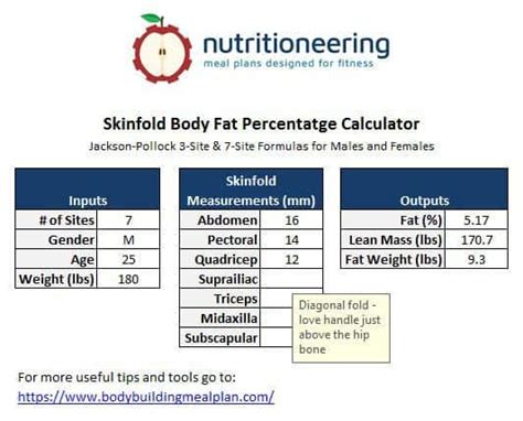Measurement Of Body Composition