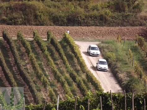 Winejour Vinarija Fruškogorski Vinogradi Banoštor Fruška Gora